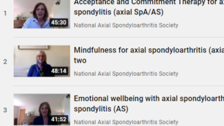 Screenshot of a list of video titles on a YouTube playlist