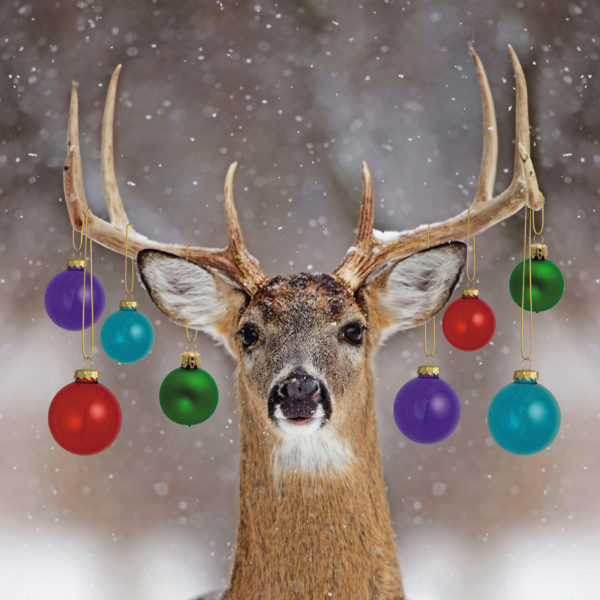 Christmas Cards - Deer
